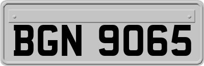BGN9065