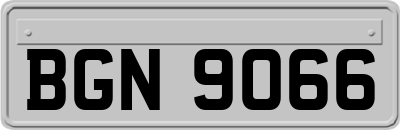 BGN9066