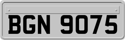BGN9075