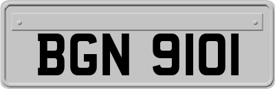 BGN9101