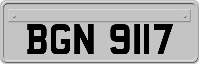 BGN9117