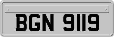 BGN9119