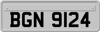 BGN9124