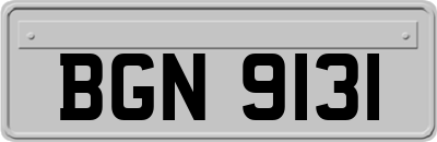BGN9131