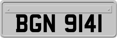 BGN9141