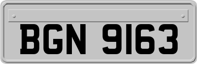 BGN9163