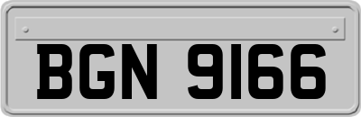 BGN9166