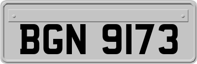 BGN9173
