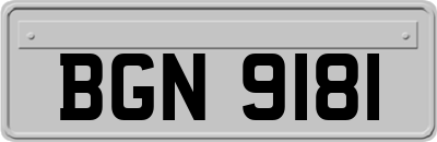 BGN9181