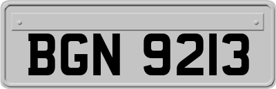 BGN9213