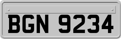 BGN9234