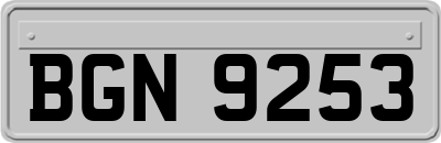 BGN9253