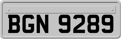 BGN9289