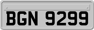 BGN9299