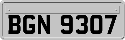 BGN9307