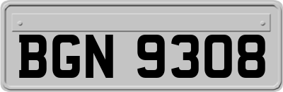 BGN9308