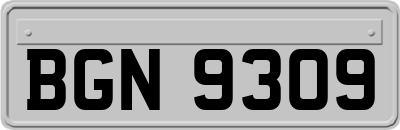 BGN9309