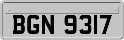 BGN9317