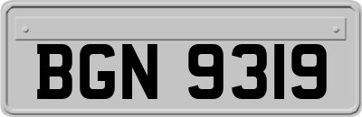 BGN9319