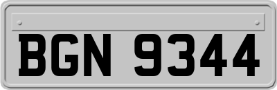 BGN9344