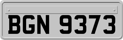 BGN9373