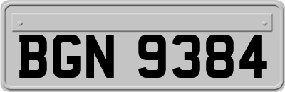 BGN9384