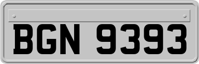 BGN9393