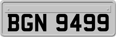 BGN9499