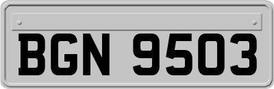 BGN9503
