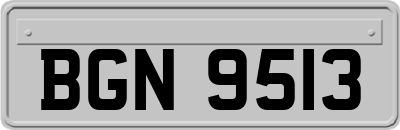BGN9513