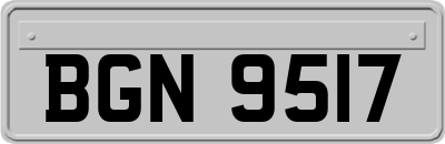 BGN9517