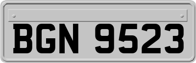 BGN9523