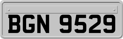 BGN9529