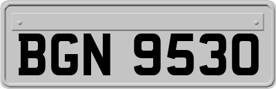 BGN9530