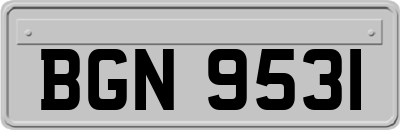 BGN9531