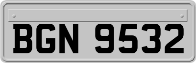BGN9532