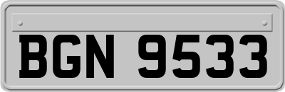 BGN9533