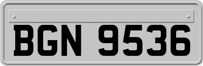 BGN9536