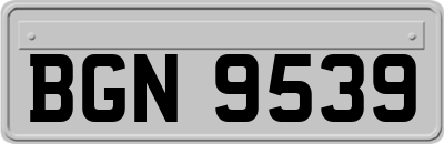 BGN9539