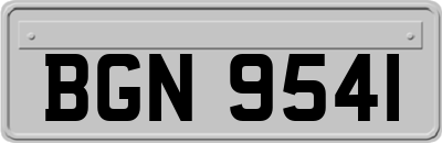 BGN9541