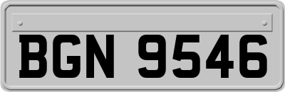 BGN9546
