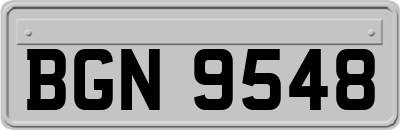 BGN9548