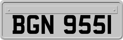 BGN9551
