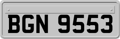 BGN9553