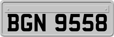 BGN9558