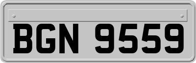 BGN9559
