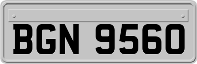 BGN9560