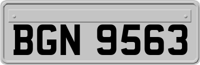 BGN9563