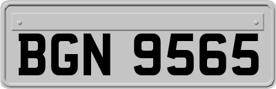 BGN9565