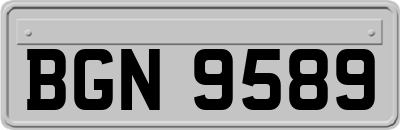 BGN9589